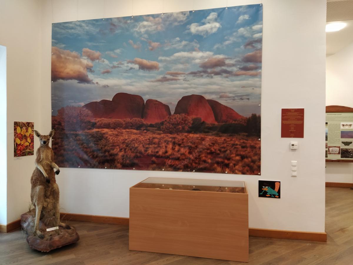 Kiállításajánló: Ausztrália – Az elszigetelt kontinens